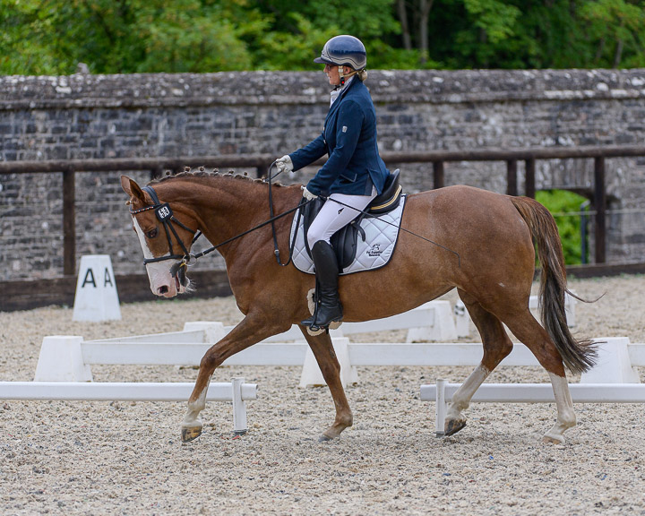 22020710 Dressage Ireland NIR