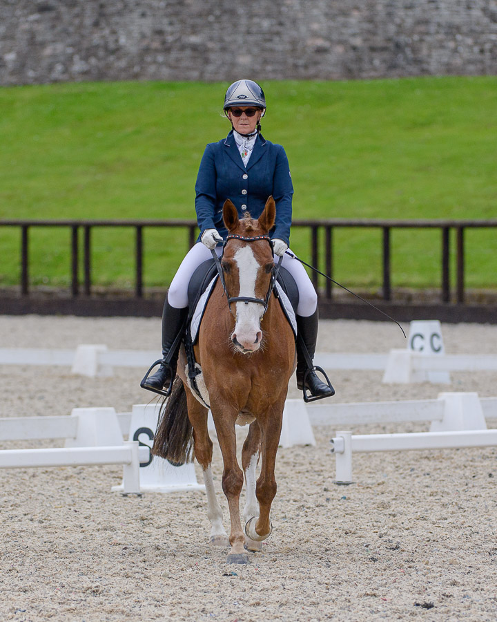 Equestrian
 Hero