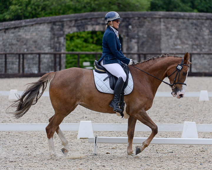 22020710 Dressage Ireland NIR