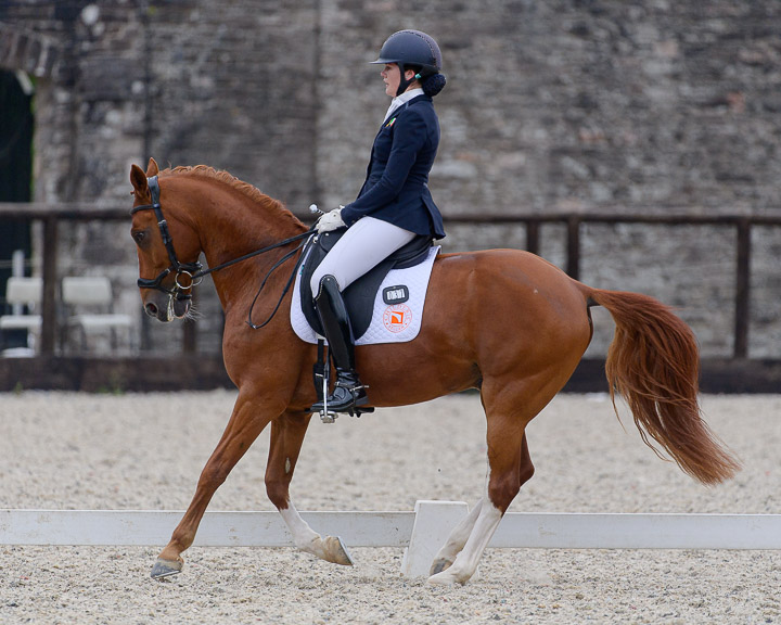 22020710 Dressage Ireland NIR
