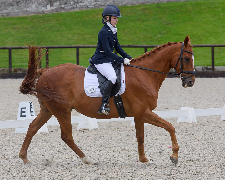 22020710 Dressage Ireland NIR