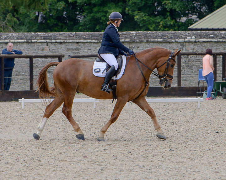 22020710 Dressage Ireland NIR