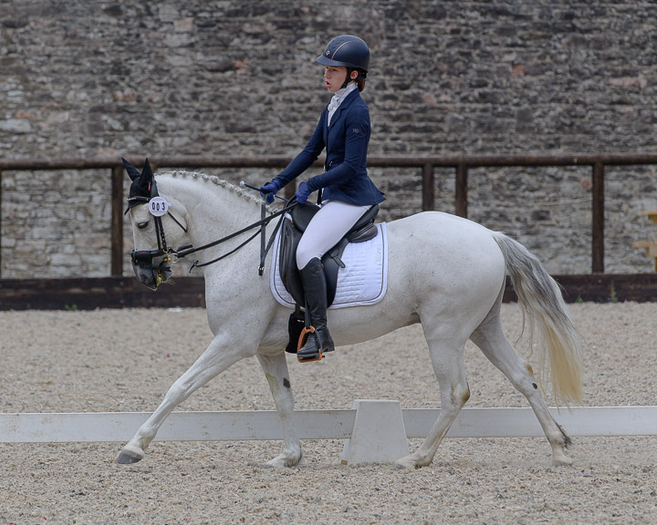 Equestrian
 Hero