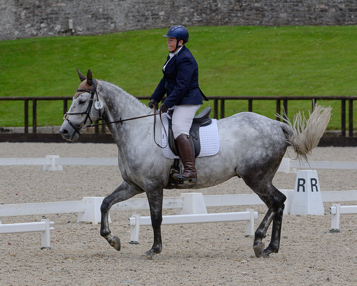 22020710 Dressage Ireland NIR