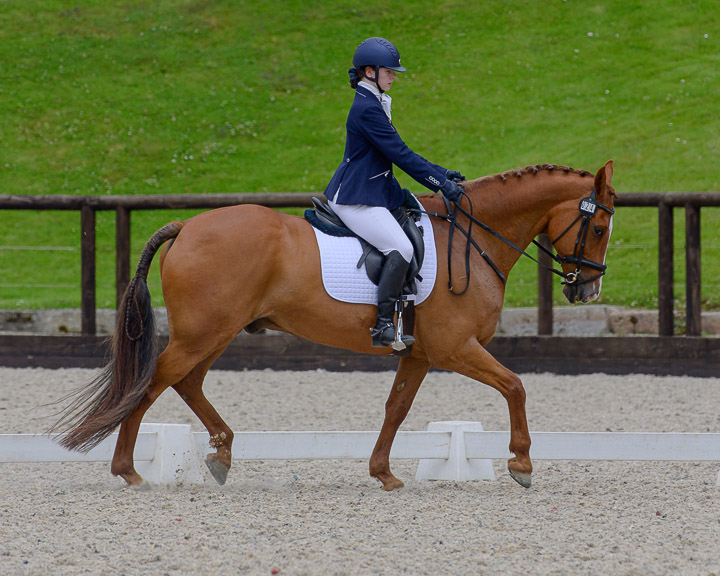 22020710 Dressage Ireland NIR