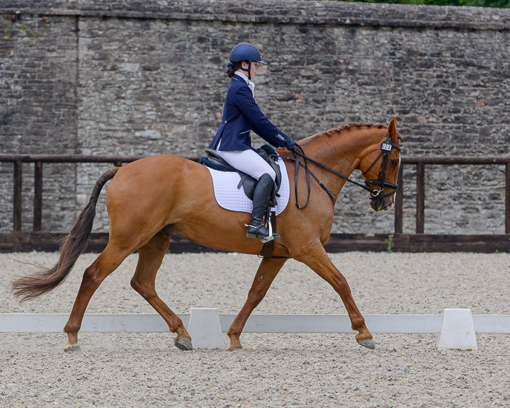 22020710 Dressage Ireland NIR