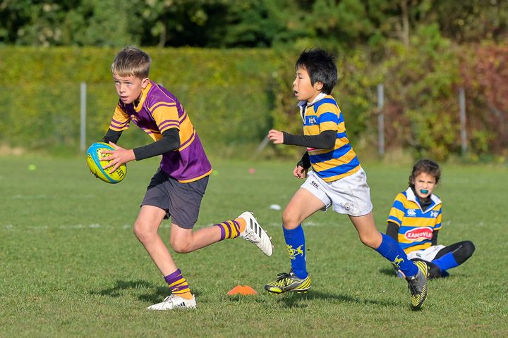 2023 Rugby Union